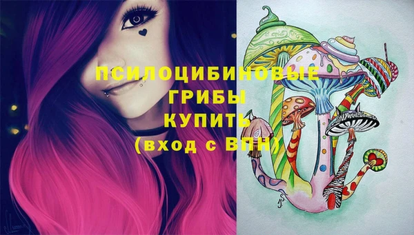 ECSTASY Медвежьегорск