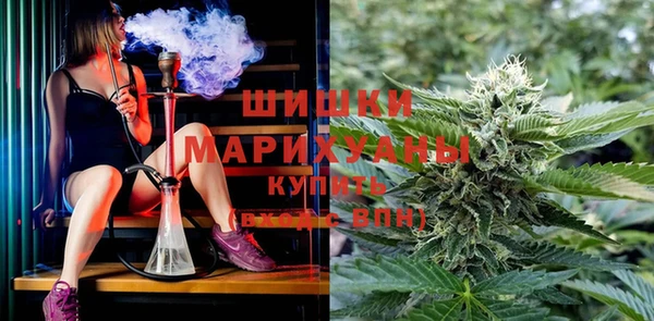 spice Медногорск