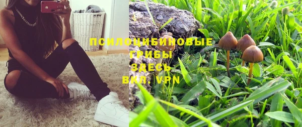 spice Медногорск